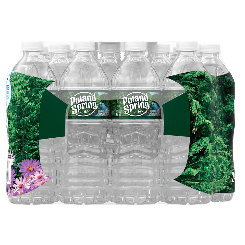 Poland Spring Water 16.9oz Bottles (Pack of 24)